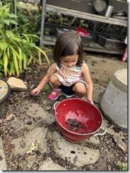 IMG_8771(2)