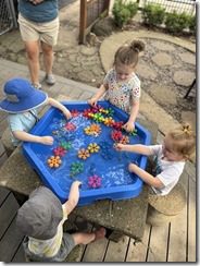 IMG_8927(2)