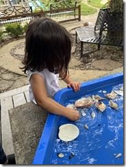 IMG_0141