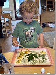 IMG_8352