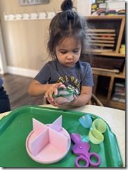 IMG_9641