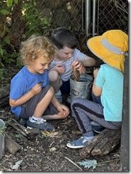 IMG_0066