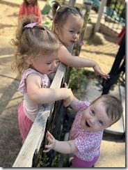 IMG_0367
