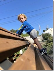 IMG_0534
