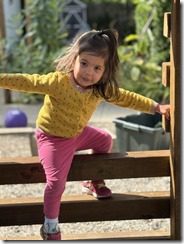 IMG_9522