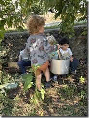 IMG_9895