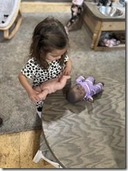 IMG_3206