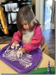 IMG_3319
