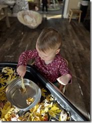 IMG_4525