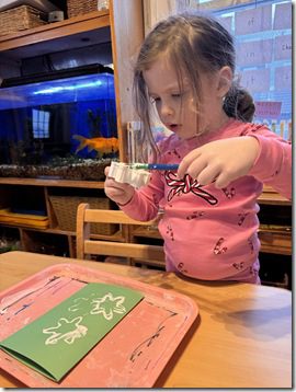 IMG_6795