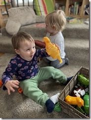IMG_6830
