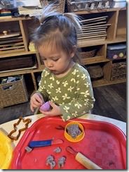 IMG_7298(1)