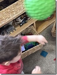 IMG_7637