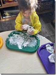IMG_7963(1)