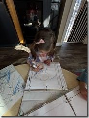 IMG_9553(1)