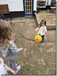 IMG_0493(2)