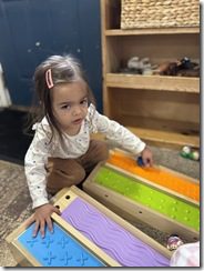 IMG_0540(2)