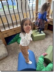 IMG_0593(2)