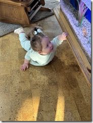 IMG_0629(2)