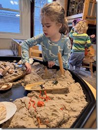 IMG_0781