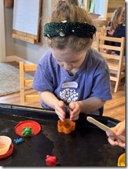 IMG_0879