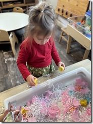 IMG_1016(2)