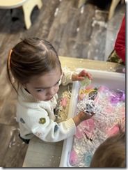 IMG_1017(2)