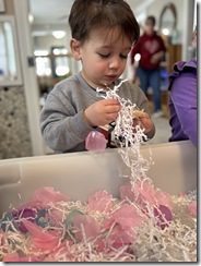 IMG_1025(2)