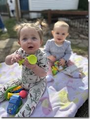 IMG_1241(2)