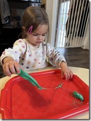 IMG_1320(1)