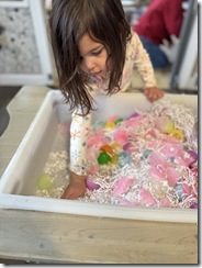 IMG_1687(2)