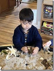 IMG_3803