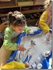 IMG_2421(2)