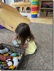 IMG_2817(2)