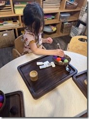 IMG_2881(2)