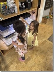IMG_2884(2)