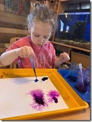 IMG_3268