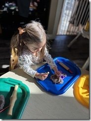 IMG_3274(2)