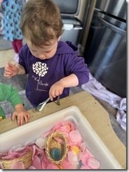 IMG_3363(2)