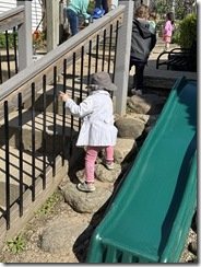 IMG_3399(1)