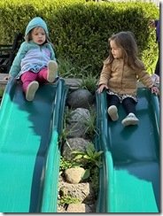 IMG_3401(2)