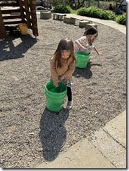 IMG_3426(2)