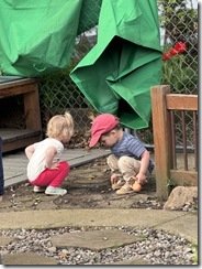 IMG_3508(2)