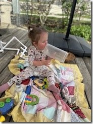 IMG_3833(2)