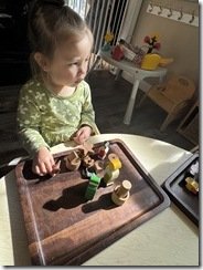 IMG_3875(2)