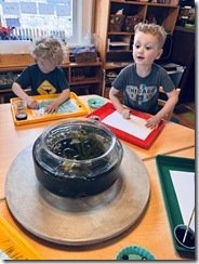 IMG_3933