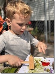 IMG_4904
