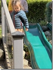 IMG_4333(2)