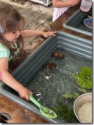 IMG_6479(2)