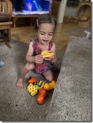 IMG_7672(2)